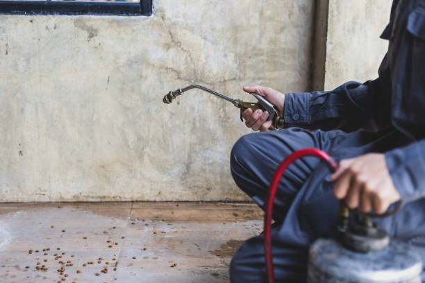 Best Affordable Pest Control Services  in Kingsland, TX